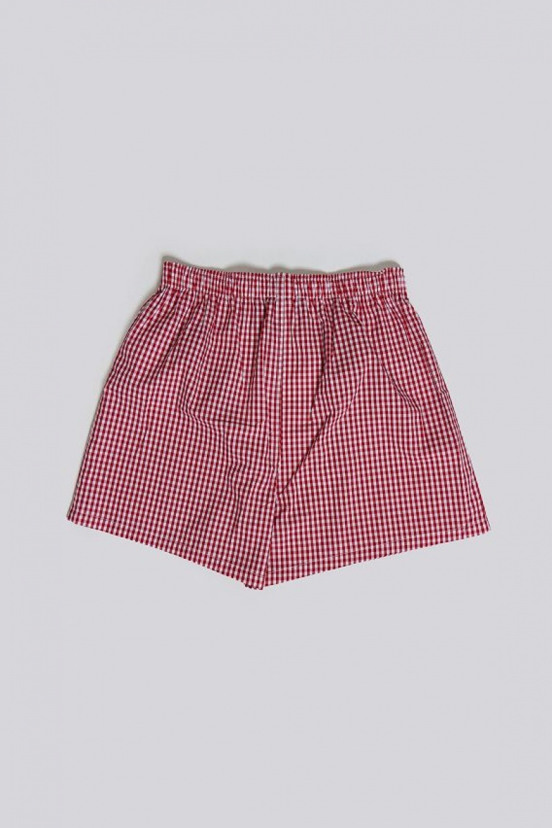 Jadedlondon Red Gingham Printed Boxer | JADLDN24577